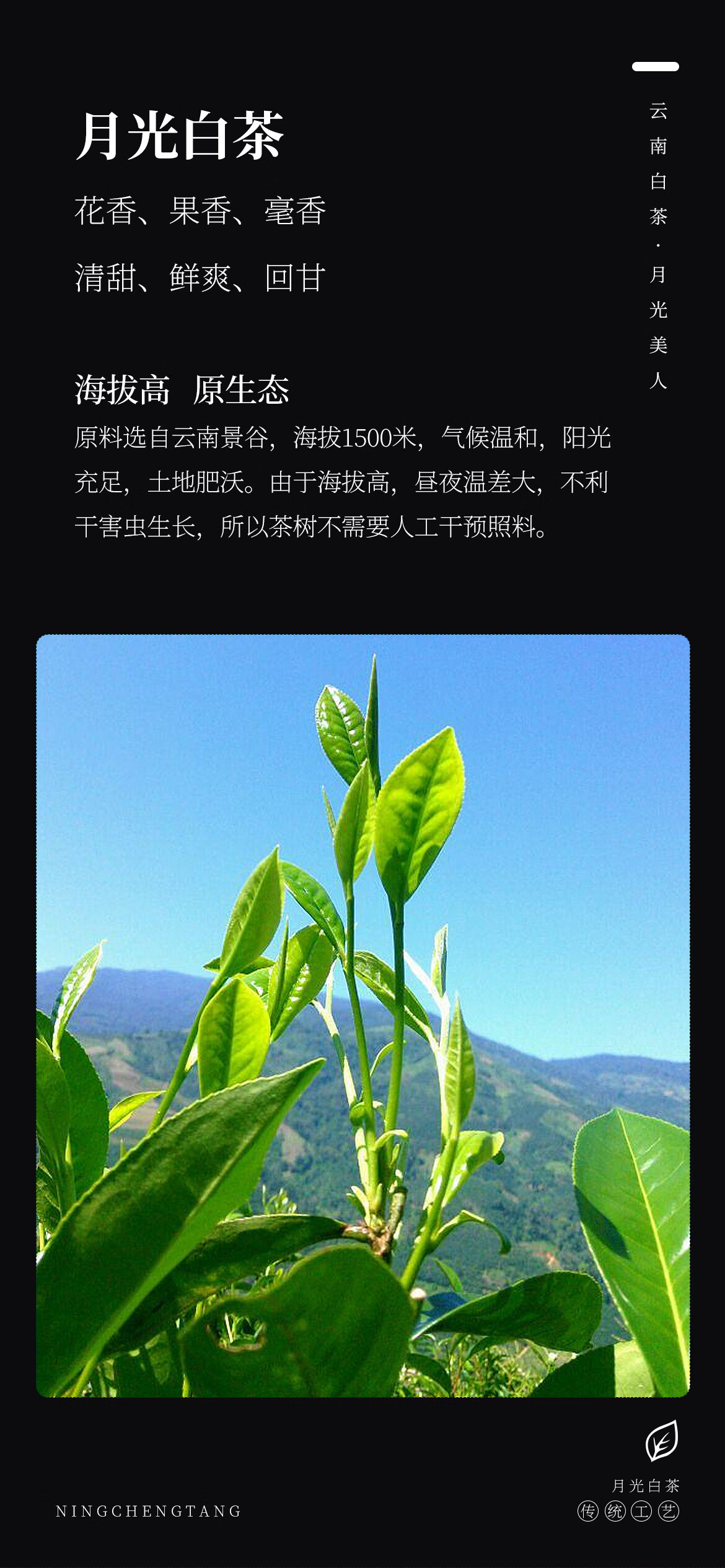 京东详情图9.jpeg