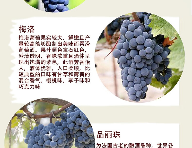京东详情图10.jpeg