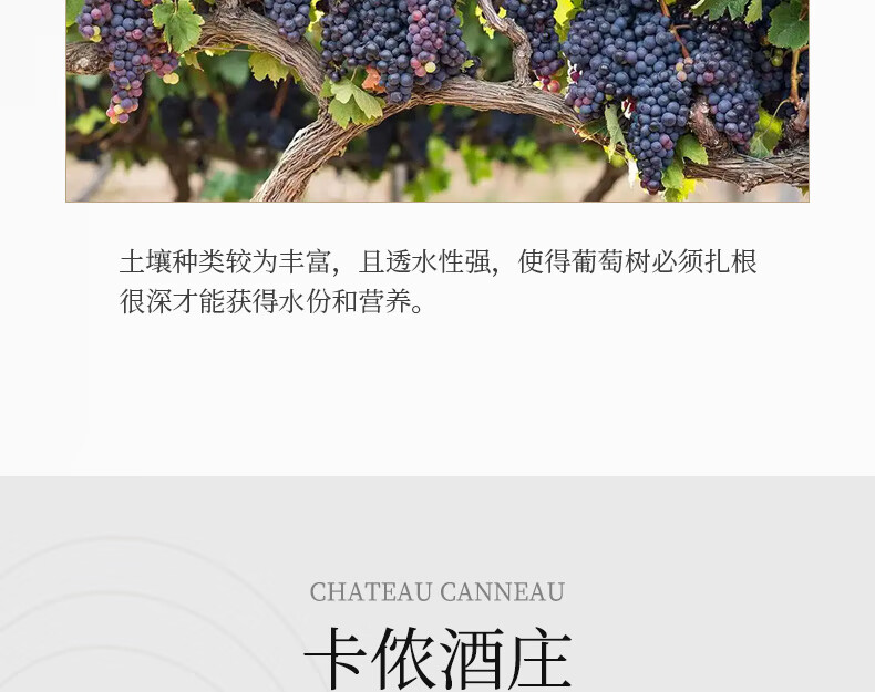京东详情图13.jpeg