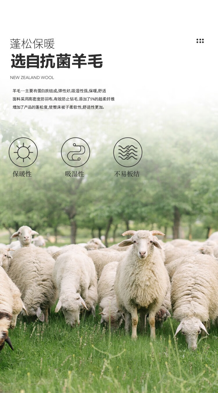 京东详情图17.jpeg