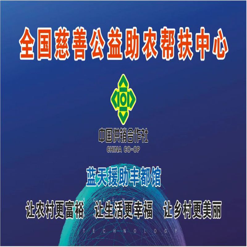 重庆市丰都县蓝天公益协会（筹）