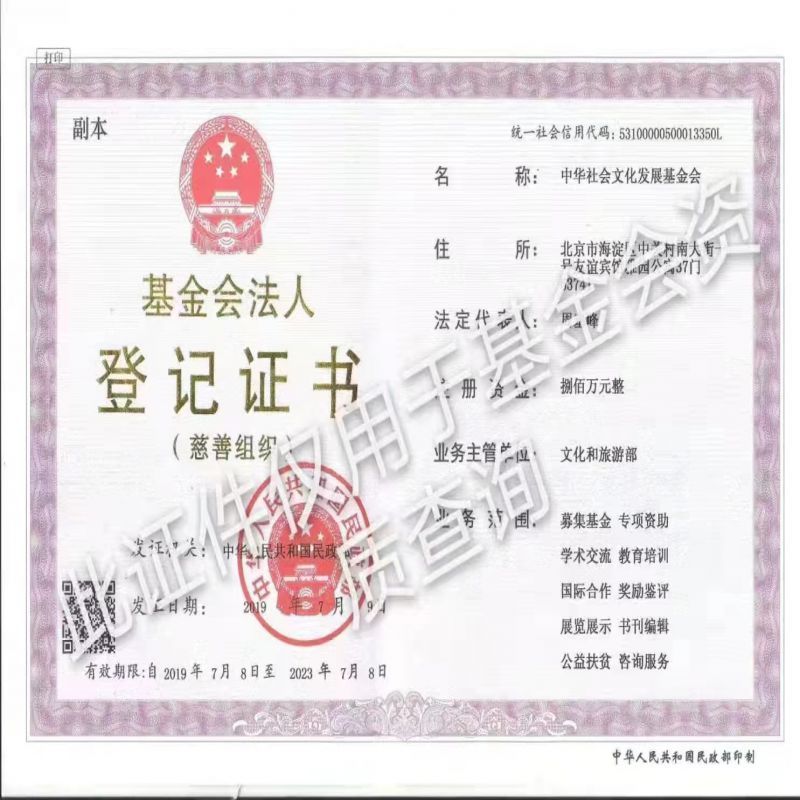 中华社会文化发展基金健康惠民公益基金