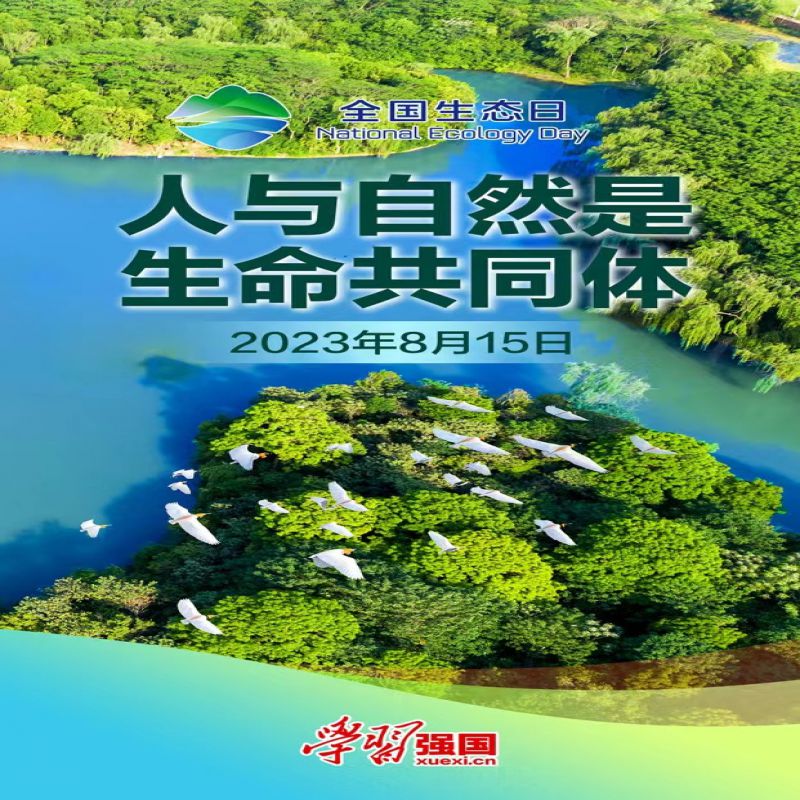 自贡市蓝天公益协会